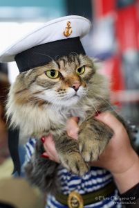 ������������� �������� ����� - ������� ����������